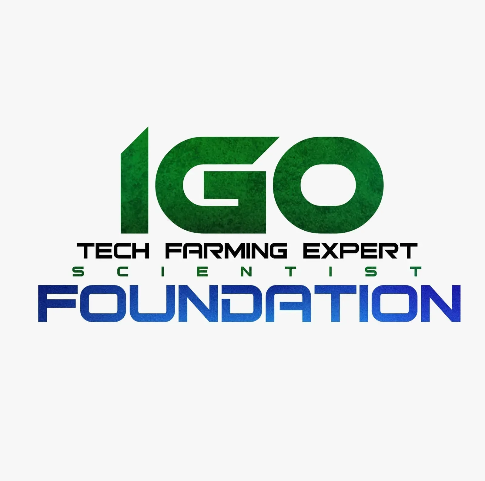 IGO Foundation