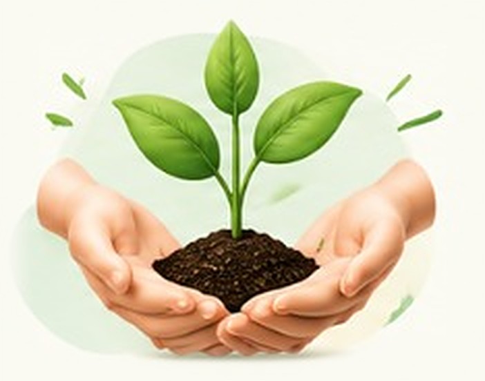 Hands holding a growing plant